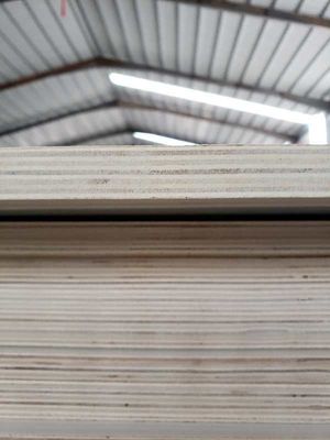 Holzfolienplatten für den Innenbereich mit E1-Standard- und farbfreier Ökologische Platte