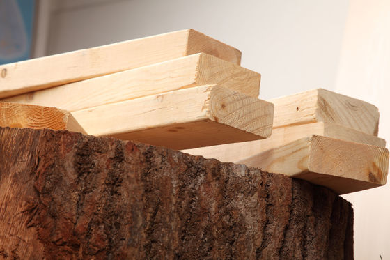 Pinienholzplatten modernen Designstil für Werkstatt zu erschwinglichen Preisen