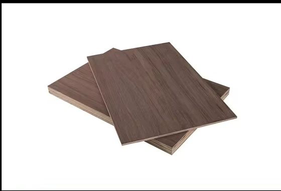 Nichtmetallische Plattenmaterial 6mm 18mm 25mm Birkenholz Veneer Möbel Sperrholz für Innenarbeiten