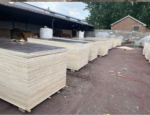 Modernes Schleifer-Schleifer-Sprengstoff für den Bau 4x8 9mm 12mm 15mm 18mm 21mm