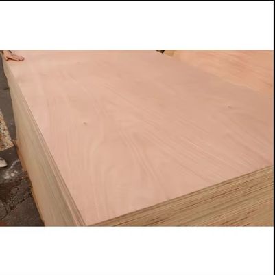 Innenraum E1 Formaldehyd 18mm wasserdichte Platten kommerzielles Hartholz Okoume Marineblech 4x8