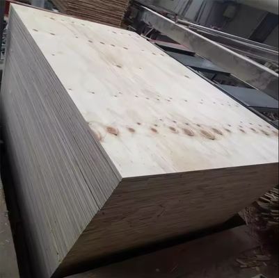 Modernes Design 1/2 3/4 5/8 Zoll Kiefer Sperrholz Wasserdicht und langlebig in Linyi City hergestellt