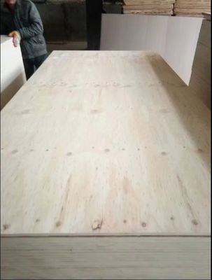 Modernes Design 1/2 3/4 5/8 Zoll Kiefer Sperrholz Wasserdicht und langlebig in Linyi City hergestellt