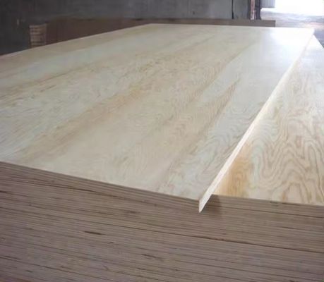 4x8 Fuß 1/2 3/4 5/8 Dicke Melamin-Plywood für Nichtmetallplattenmaterial in Marokko