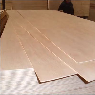 4x8 Fuß 1/2 3/4 5/8 Dicke Melamin-Plywood für Nichtmetallplattenmaterial in Marokko